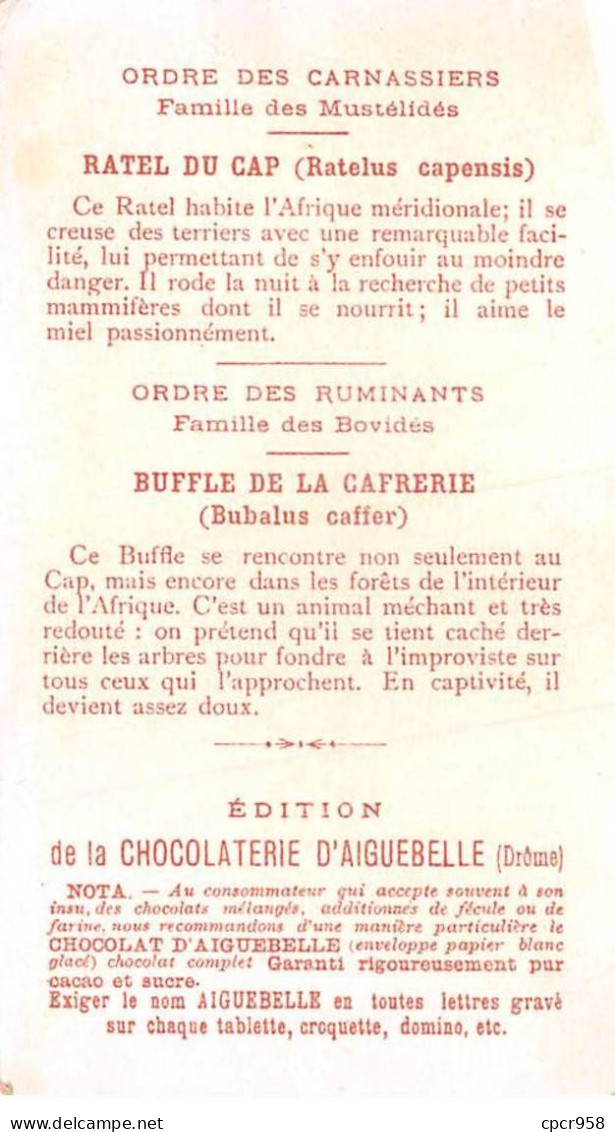 CHROMOS.AM23083.7x10 Cm Env.Chocolat D'Aiguebelle.Le Monde Des Mammifères.Ruminant-Buffle.Carnassiers-Ratel - Aiguebelle