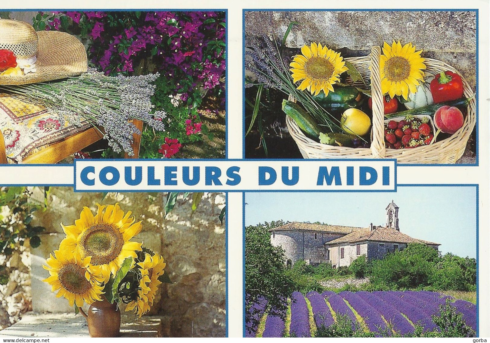 *CPM  - FRANCE - PACA - Couleurs Du Midi - Multivue - Provence-Alpes-Côte D'Azur