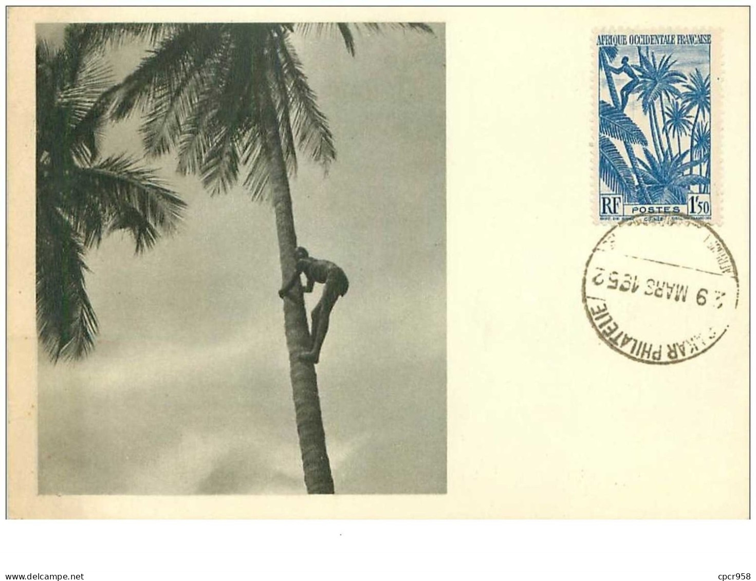 CARTE MAXIMUM.n°14958.GUINEE FRANCAISE.RECOLTE DES NOIX DE COCOS - Covers & Documents