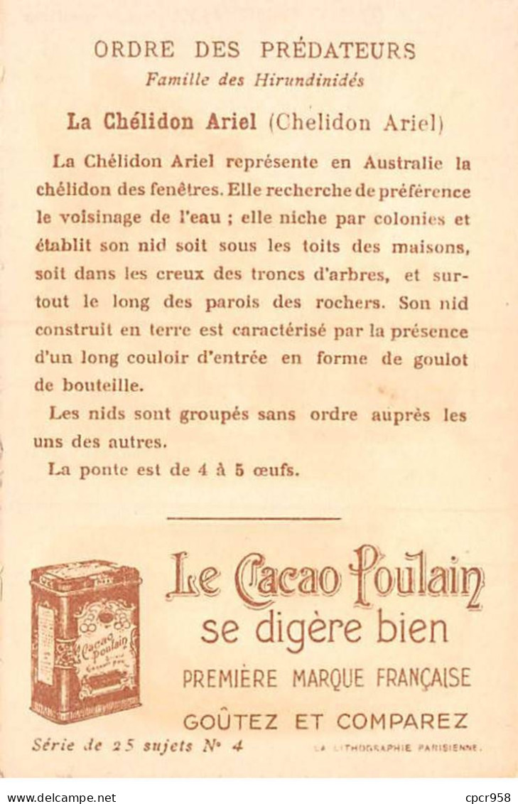 CHROMOS.AM23513.7x11 Cm Env.Chocolat Poulain.Ordre Des Prédateurs.Famille Des Hirundinidés.La Chélidon Ariel - Poulain