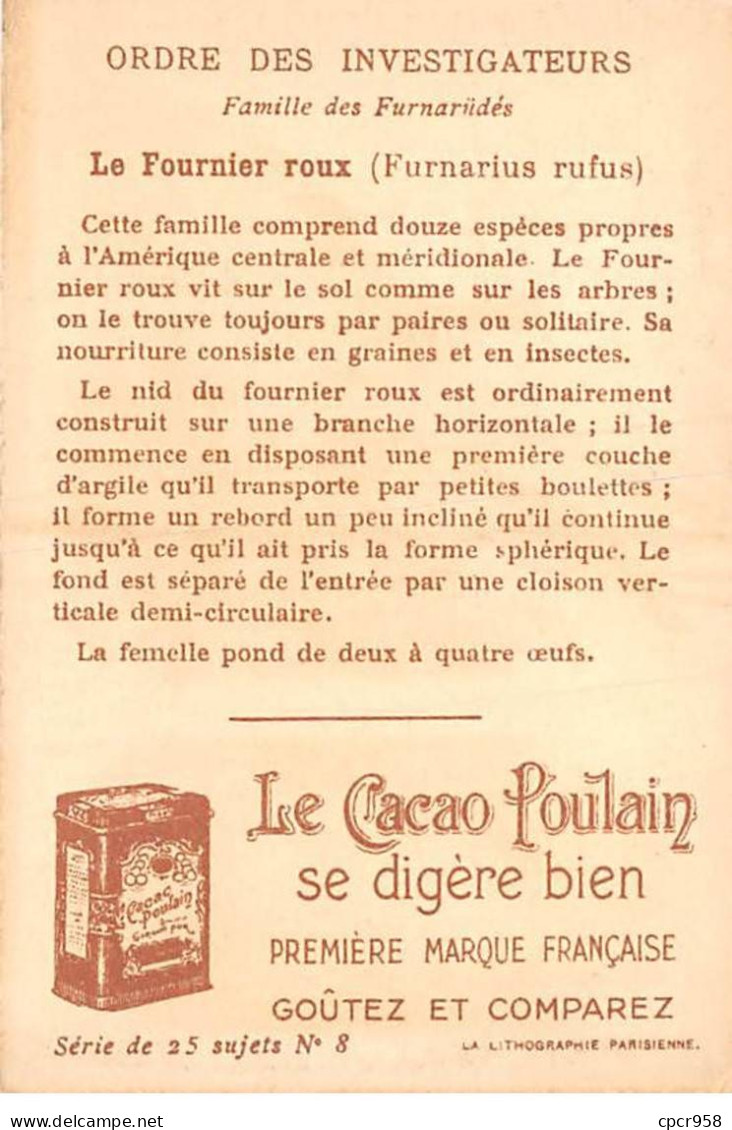 CHROMOS.AM23510.7x11 Cm Env.Chocolat Poulain.Ordre Des Investigateurs.Famille Des Furnariidés.Le Fournier Roux - Poulain