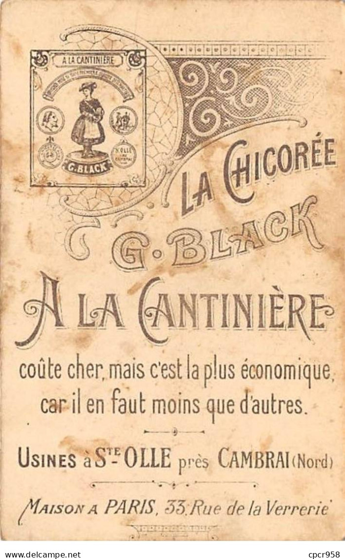 CHROMOS.AM23402.7x11 Cm Env.Chicorée A La Cantinière.G Black.Etude De Peinture En 25 Sujets.Sujet N°2.Vache - Tee & Kaffee