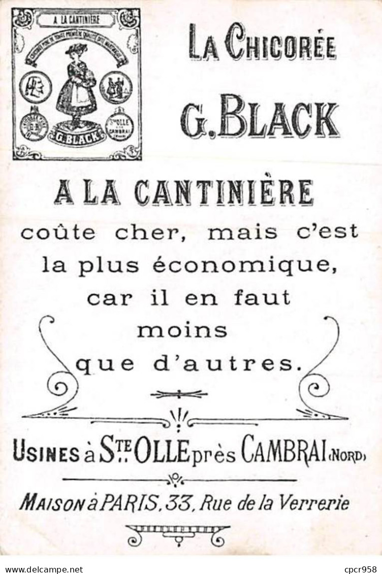CHROMOS.AM23260.7x10 Cm Env.Chicorée G Black.A La Cantinière.N°9.Les Pommes De Terre - Té & Café