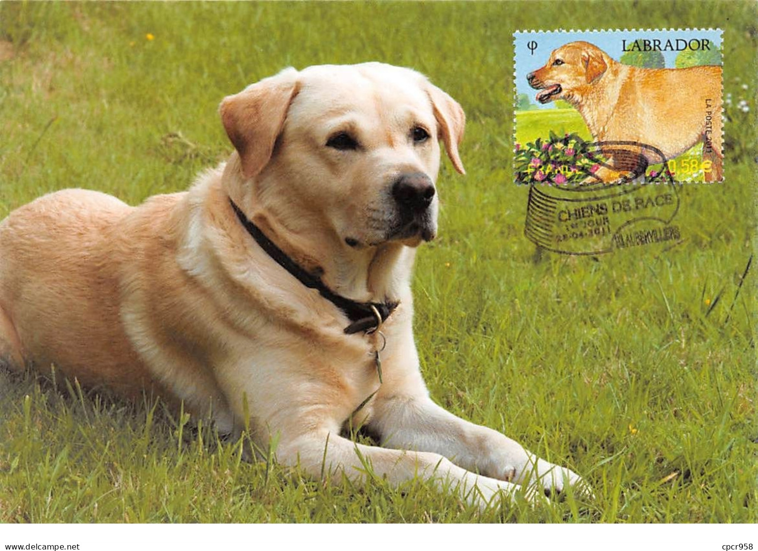 FRANCE.Carte Maximum.AM12063.28/04/2011.Cachet Aubervilliers.Chiens De Race.Le Labrador - 2010-2019