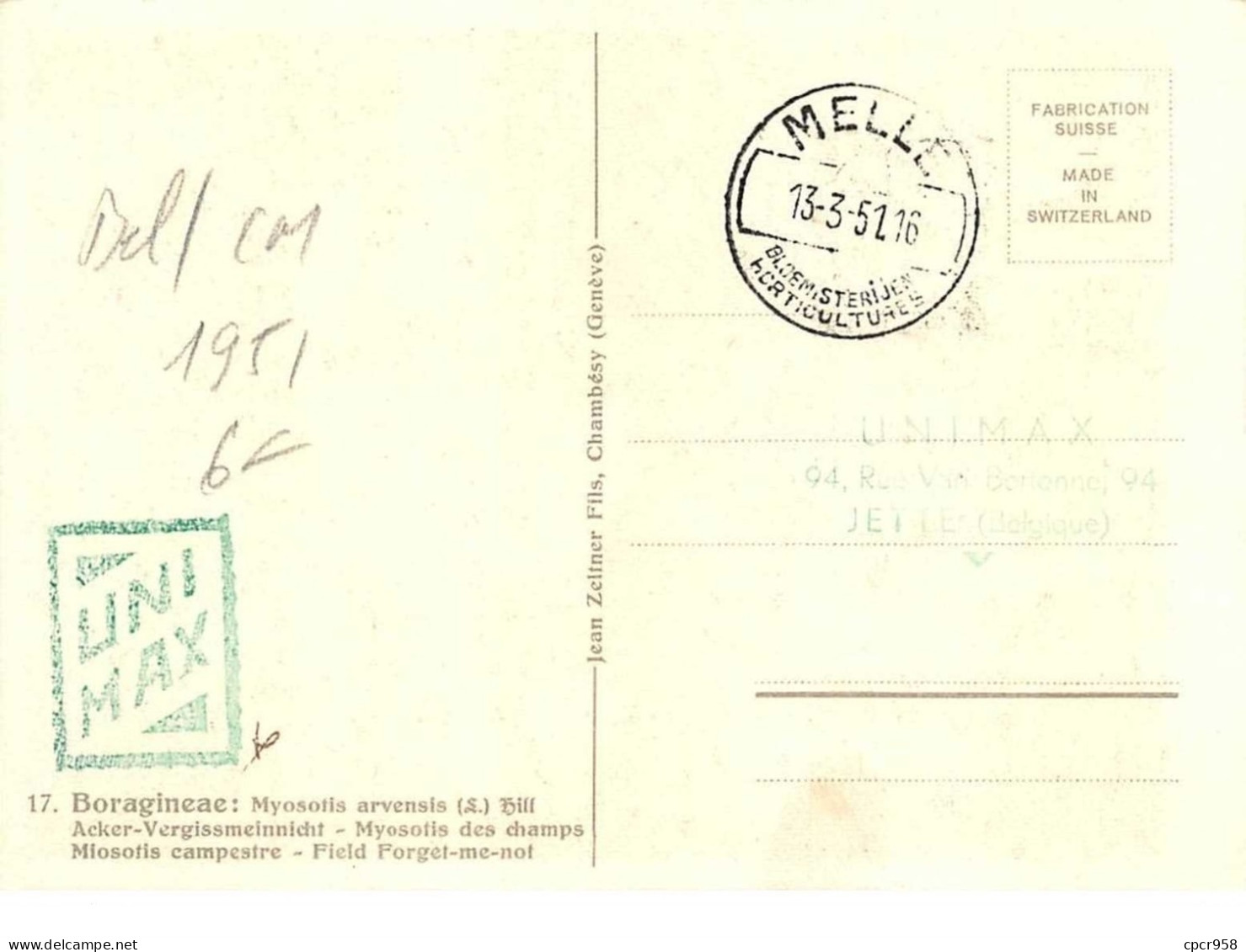 1951 .carte Maximum .belgique .102651 .boragineae .cachet Melle . - 1934-1951