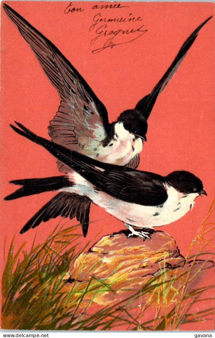 Hirondelles - Carte Gaufrée - Vögel