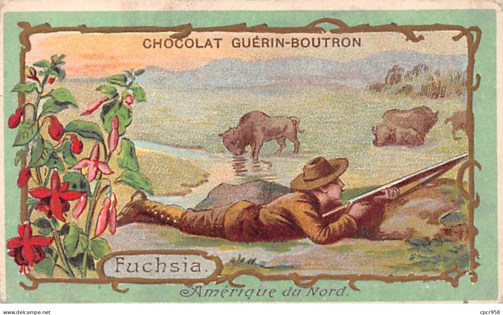 Chromos -COR12265 - Chocolat Guérin-Boutron - Amérique Du Nord - Fuchsia - Homme - Fleurs - Chasseur - 6x10cm Env. - Guérin-Boutron