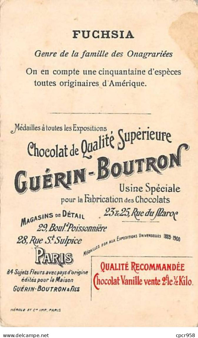 Chromos -COR12265 - Chocolat Guérin-Boutron - Amérique Du Nord - Fuchsia - Homme - Fleurs - Chasseur - 6x10cm Env. - Guérin-Boutron