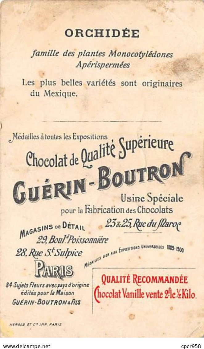 Chromos -COR12266 - Chocolat Guérin-Boutron - Mexique - Orchidée - Femmes - Homme - Fleurs - 6x10cm Env. - Guerin Boutron