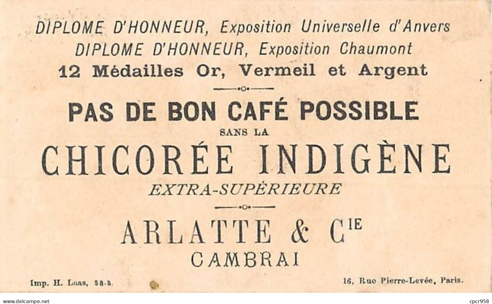 Chromos - COR10082 - Chicorée Indigène - Arlatte & Cie, Cambrai - Le Tocsin -  6x10 Cm Environ - Thé & Café