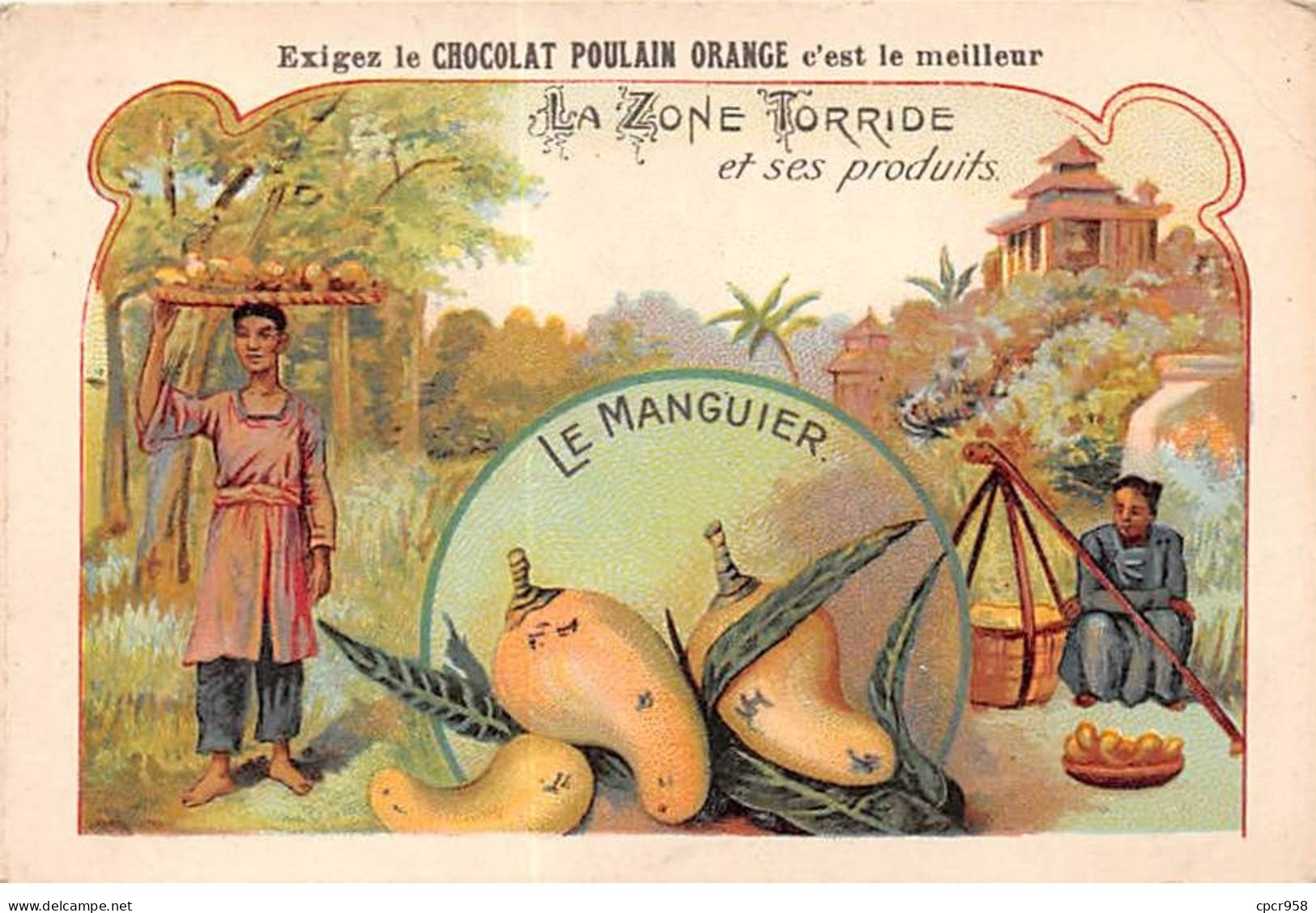 Chromos - COR10218 - Chocolat Poulain Orange - La Zone Torride Et Ses Produits : Le Manguier - 7x10 Cm Environ - Poulain