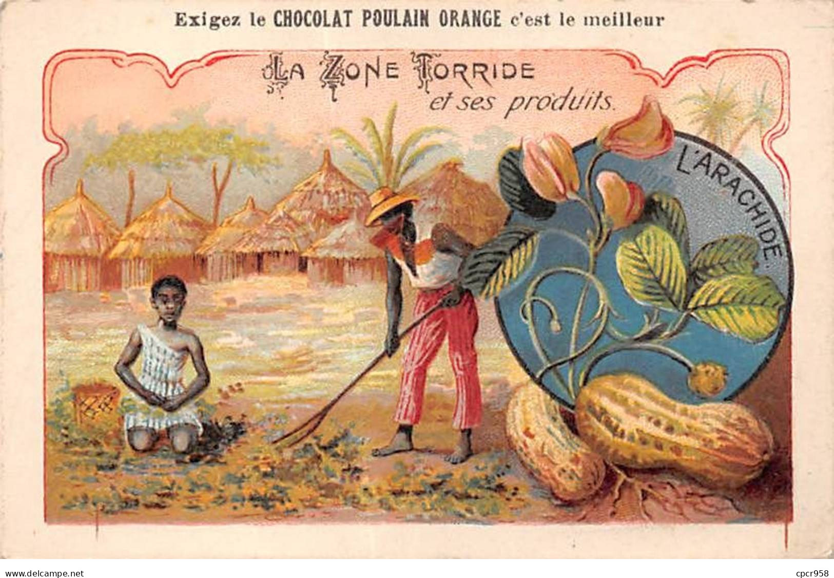 Chromos - COR10217 - Chocolat Poulain Orange - La Zone Torride Et Ses Produits : L'arachide - 7x10 Cm Environ - Poulain