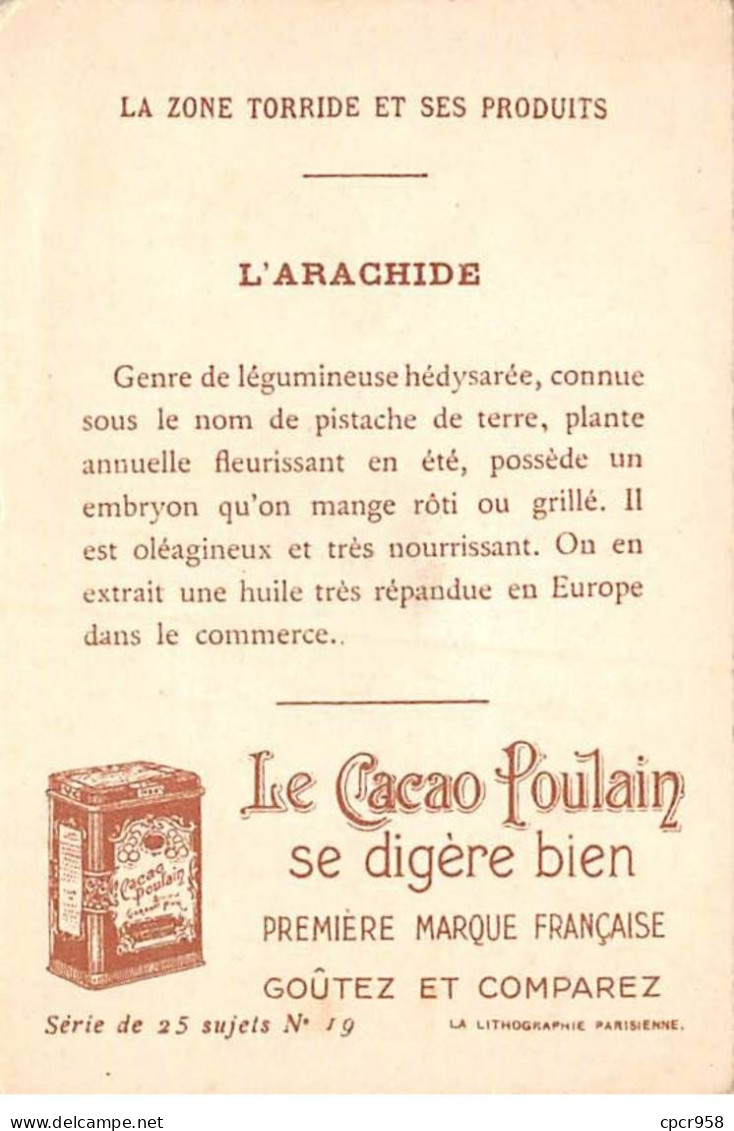 Chromos - COR10217 - Chocolat Poulain Orange - La Zone Torride Et Ses Produits : L'arachide - 7x10 Cm Environ - Poulain