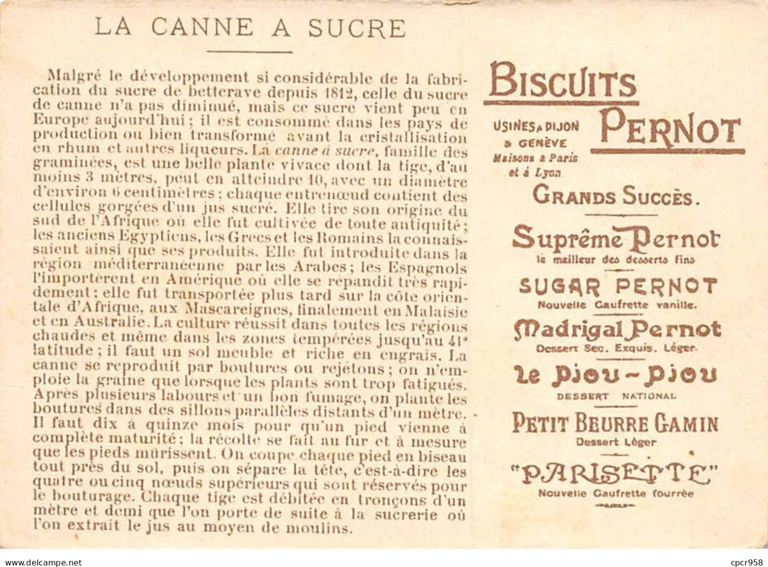 Chromos - COR15067 - Biscuits Pernot - Homme - Femme - Champ - Récolte De La Canne à Sucre - 12x8 Cm Environ - Pernot