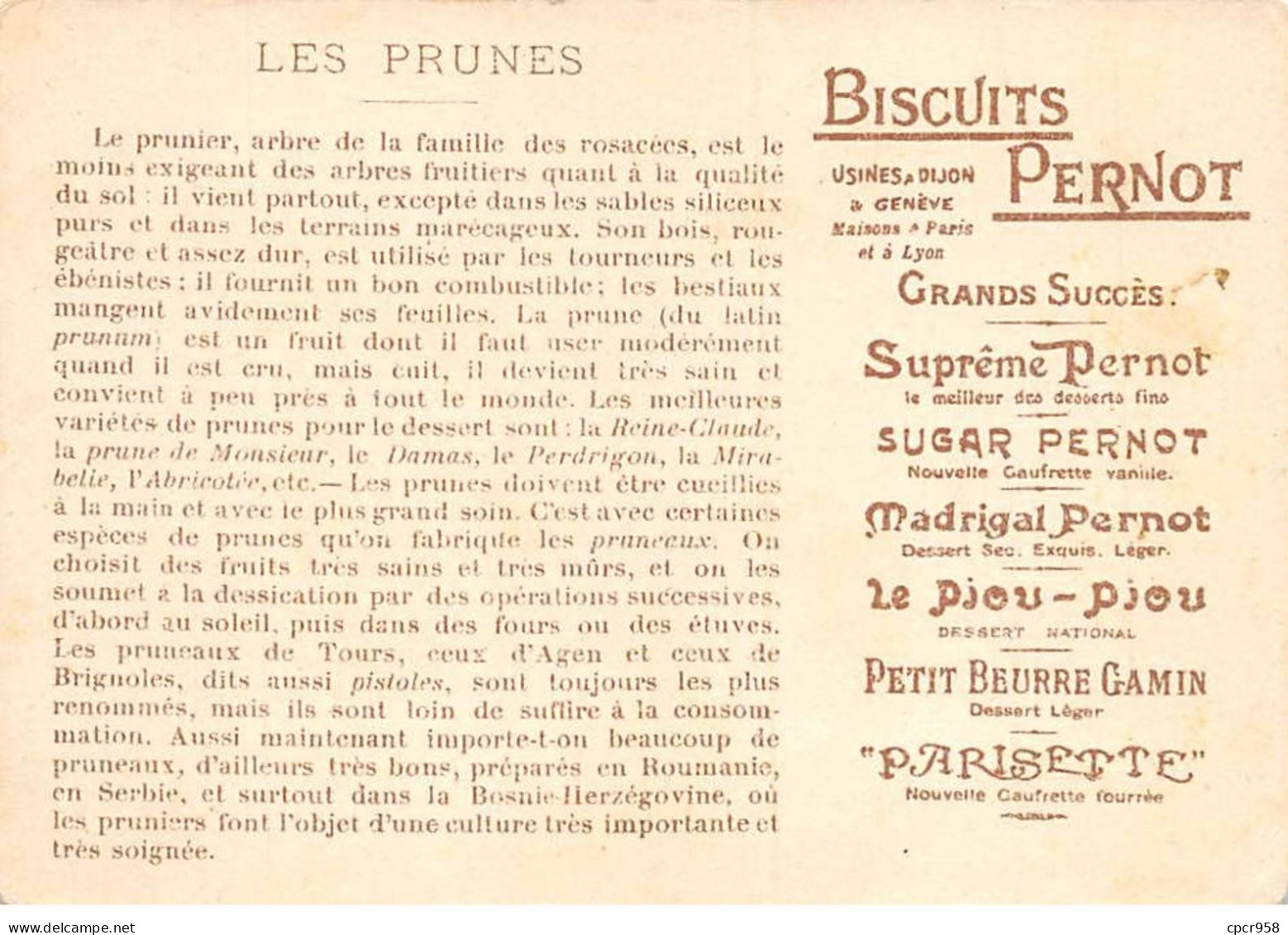 Chromos - COR15064 - Biscuits Pernot - Homme - Femme - Champ - Récolte Des Prunes - 12x8 Cm Environ - Pernot