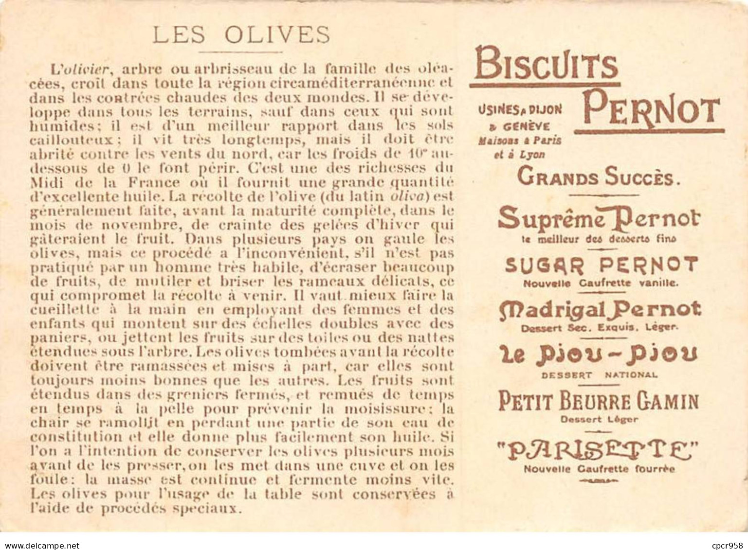 Chromos - COR15063 - Biscuits Pernot - Hommes - Femme - Champ - Récolte Des Olives - 12x8 Cm Environ - Pernot