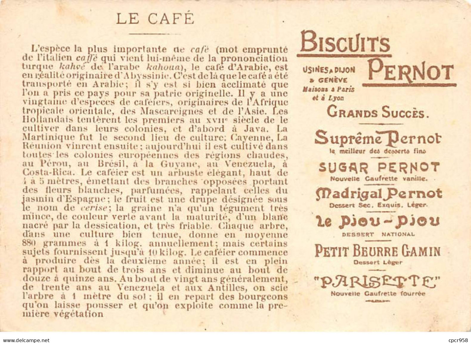 Chromos - COR15073 - Biscuits Pernot - Hommes - Récolte Du Café - 12x8 Cm Environ - Pernot