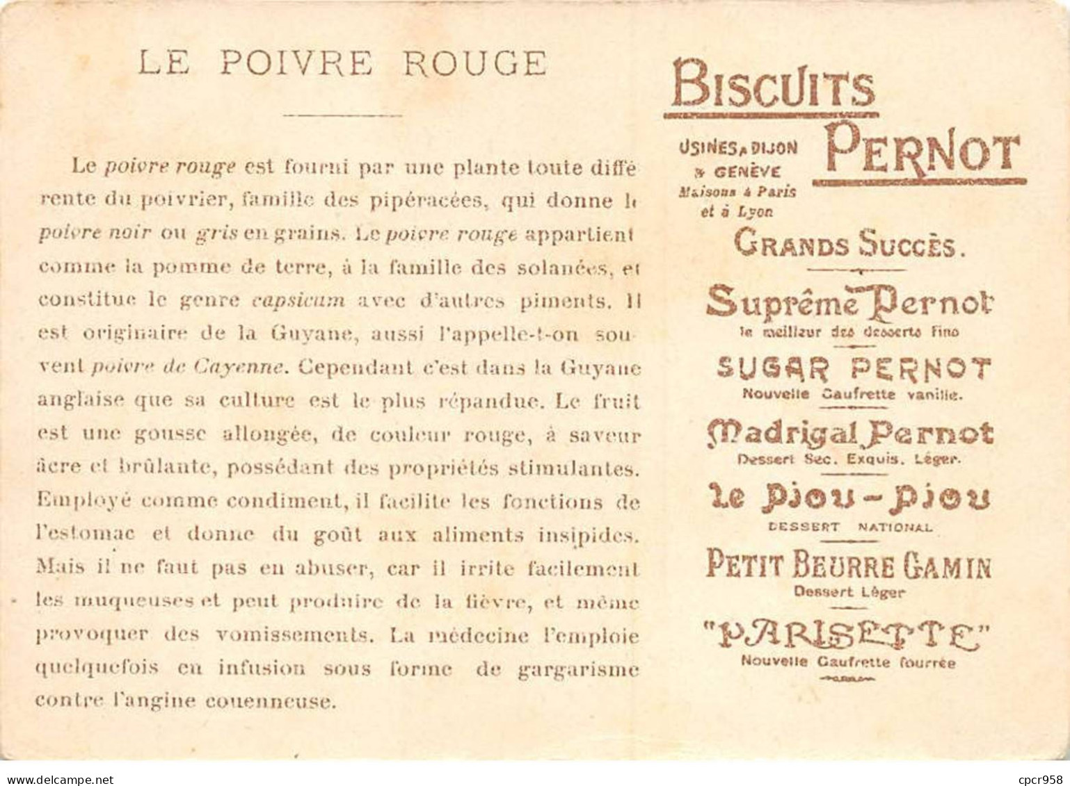 Chromos - COR15071 - Biscuits Pernot - Hommes - Récolte Du Poivre Rouge - 12x8 Cm Environ - Pernot