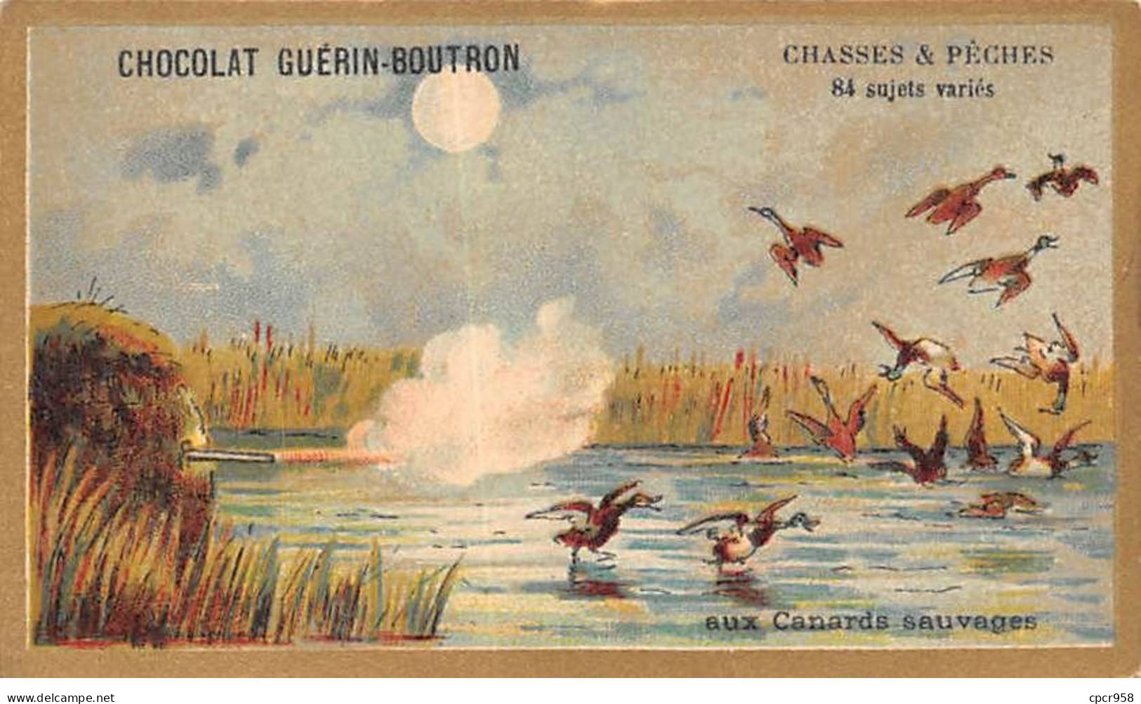 Chromos -COR10571 - Chocolat Guérin-Boutron- Chasses Et Pêches- Canards Sauvages  - 6x10 Cm Env. - Guerin Boutron