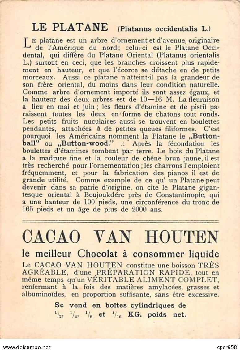 Chromos -COR12490 - Cacao Van Houten - Platane - 14x10cm Env. - Van Houten