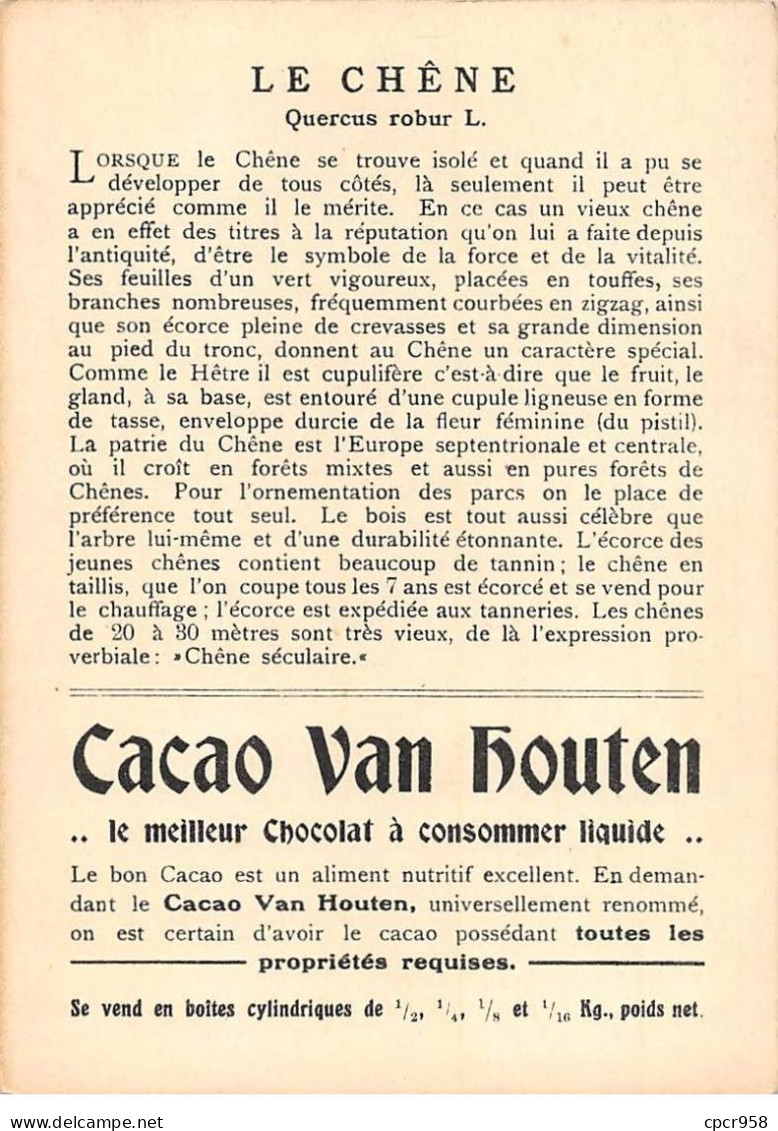 Chromos -COR12489 - Cacao Van Houten - Chêne - 14x10cm Env. - Van Houten