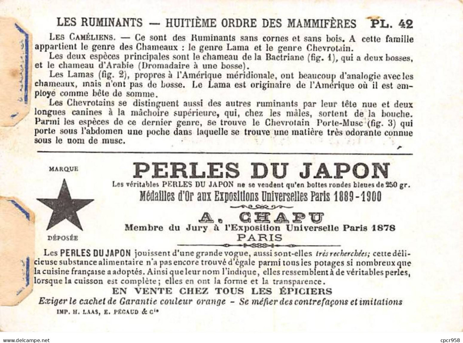 Chromos -COR12404 - Perles Du Japon - Les Ruminants - Bactriane - Lama - Porte-Musc - 8x11cm Env. - Otros & Sin Clasificación