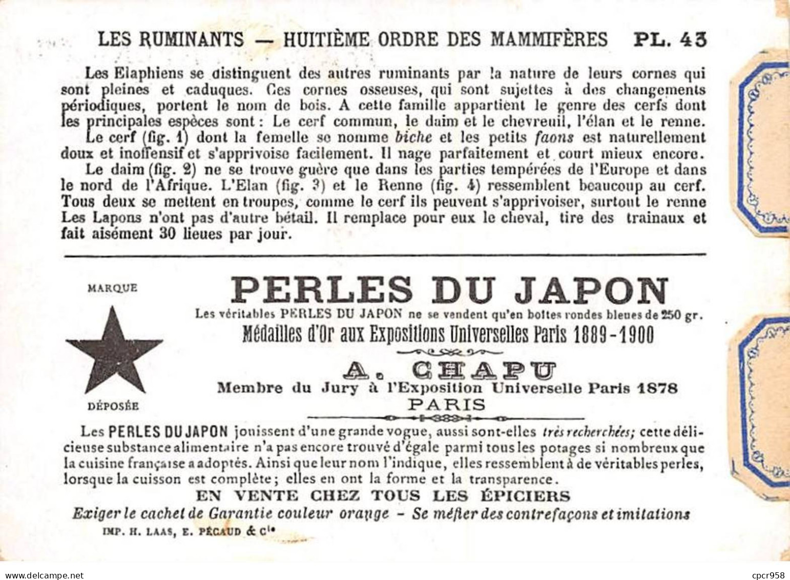 Chromos -COR12402 - Perles Du Japon - Les Ruminants- Cerf - Daim - Elan - Renne - 8x11cm Env. - Altri & Non Classificati