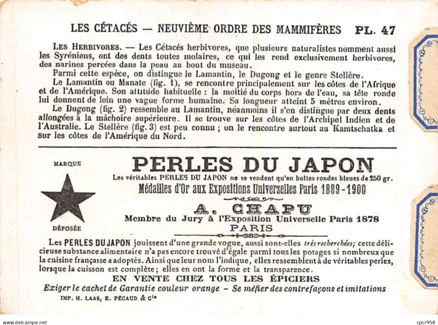 Chromos -COR12399 - Perles Du Japon - Les Cétacés - Lamantin - Dugong - Stéllère - 8x11cm Env. - Other & Unclassified