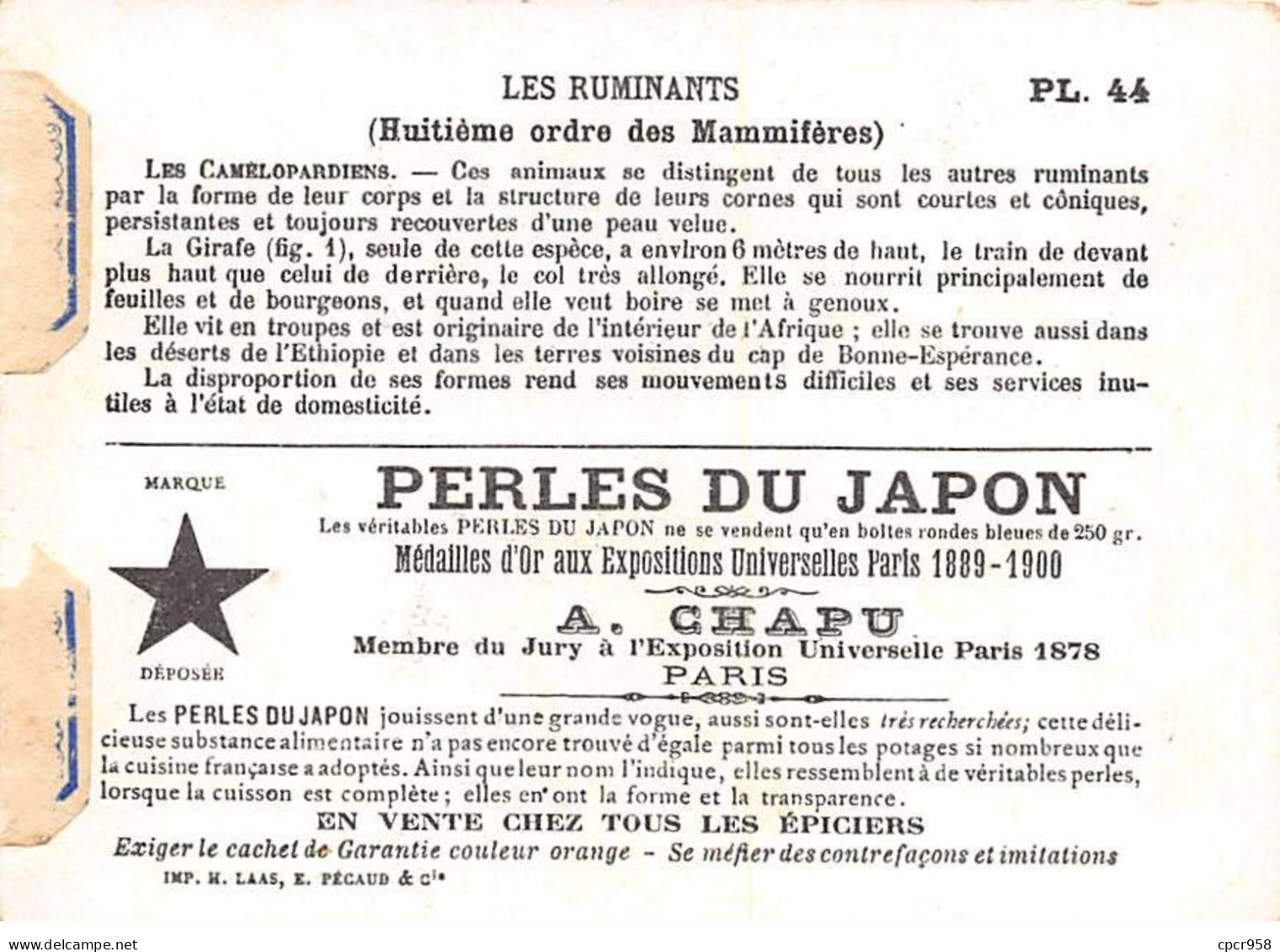 Chromos -COR12396 - Perles Du Japon - Les Ruminants - Girafe - 8x11cm Env. - Otros & Sin Clasificación