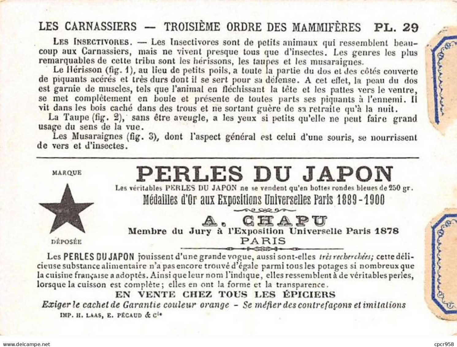 Chromos -COR12395 - Perles Du Japon - Les Carnassiers - Hérisson - Taupe - Musaraignes - 8x11cm Env. - Other & Unclassified