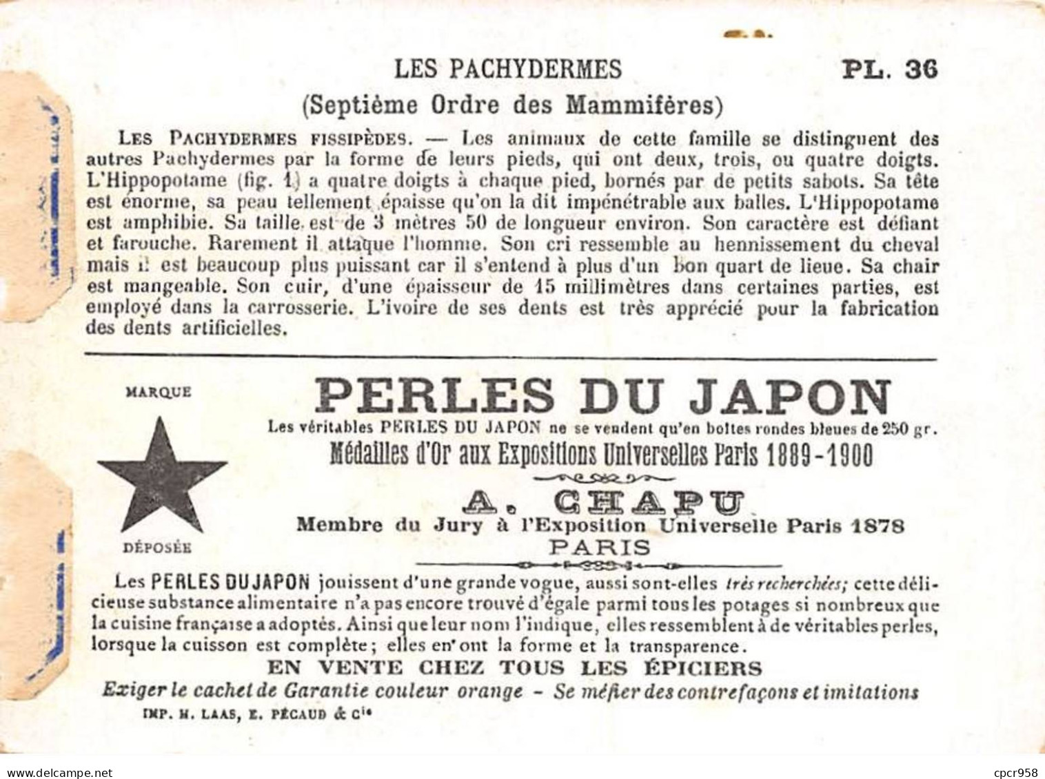 Chromos -COR12394 - Perles Du Japon - Les Pachydermes - Hippopotame - 8x11cm Env. - Otros & Sin Clasificación