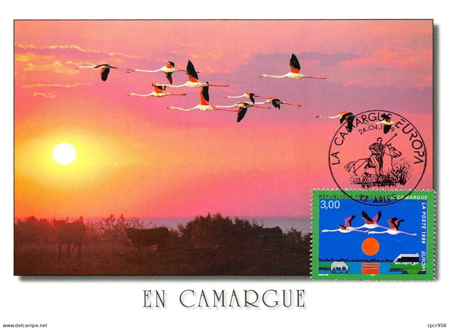 Carte Maximum - FRANCE - COR12852 - 24/01/1999 - En Camargue - Cachet Arles - 1990-1999