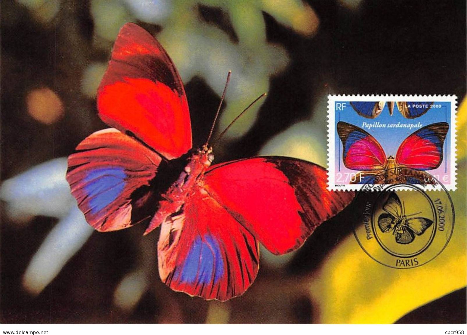 Carte Maximum - FRANCE - COR12949 - 17/06/2000 - Papillon Sardanapale -  Cachet Paris - 2000-2009