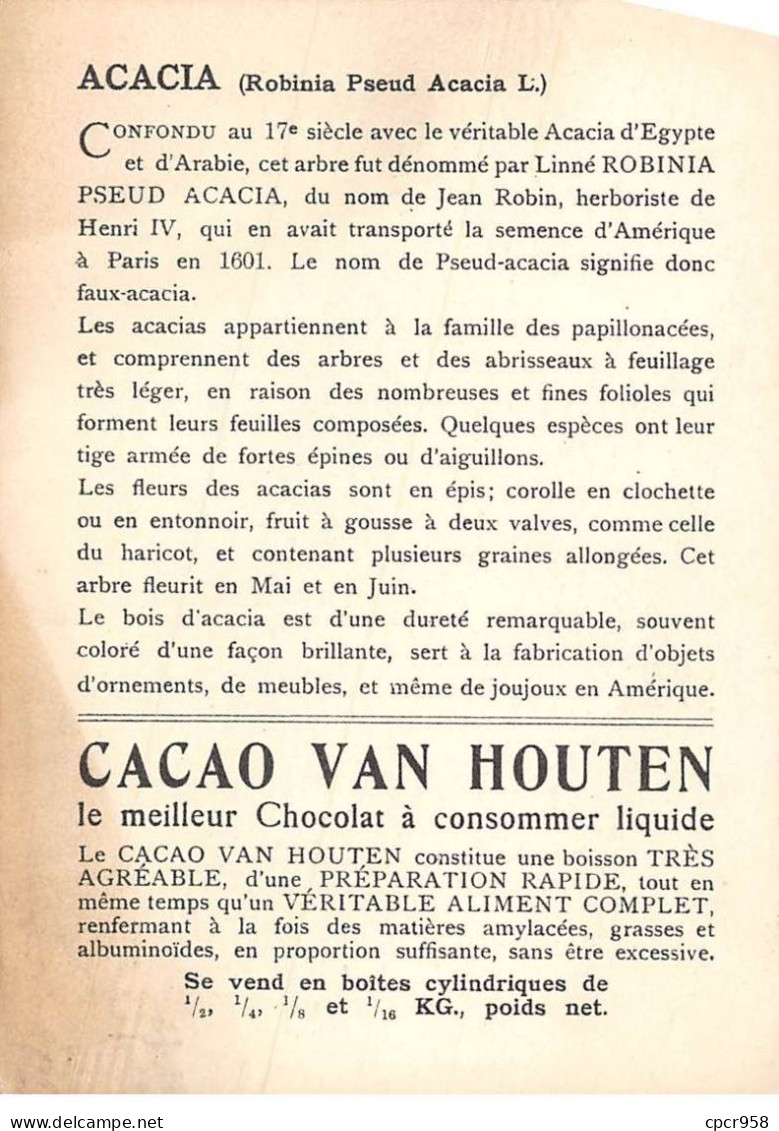 CHROMOS.AM22727.Cacao Van Houten.10x14 Cm Env.Acacia (Robinia Pseud-Acacia).Rameau Fleuri.Gousse - Van Houten