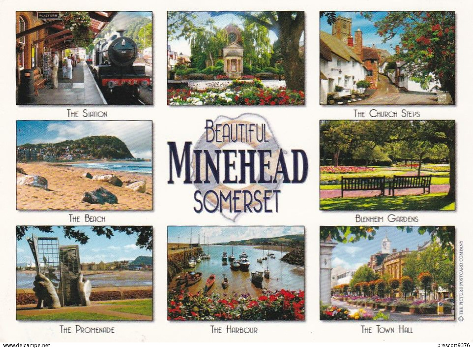 Minehead Multiview,  Somerset  -   Unused Postcard   - L Size 17x12Cm - LS4 - Minehead