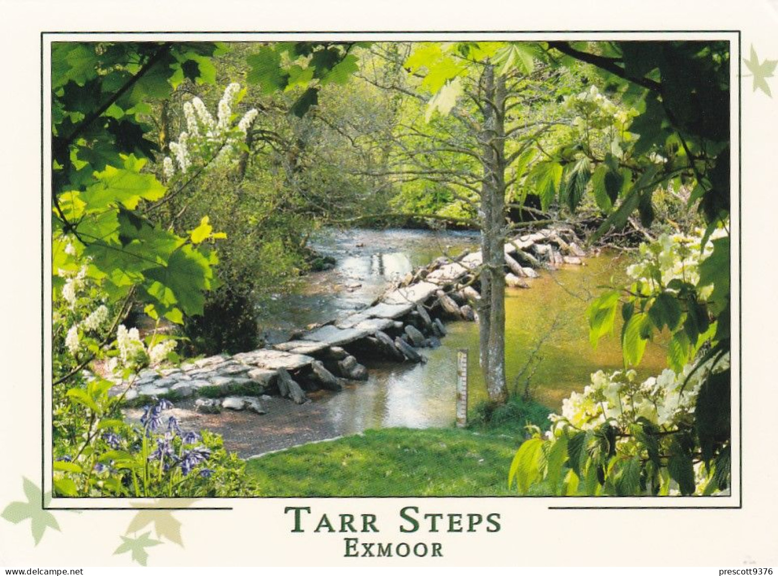 Tarr Steps Exmoor -   Unused Postcard   - L Size 17x12Cm - LS4 - Andere & Zonder Classificatie