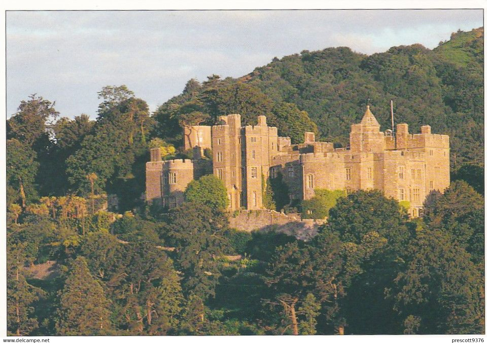 Dunster Castle, Somerset -   Unused Postcard   - L Size 17x12Cm - LS4 - Other & Unclassified