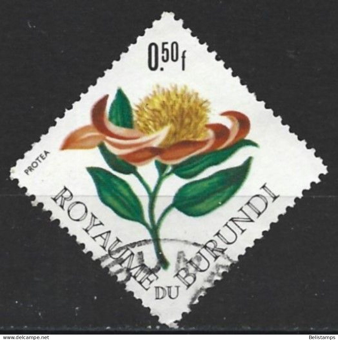 Burundi 1966. Scott #141 (U) Flowers, Protea - Usati