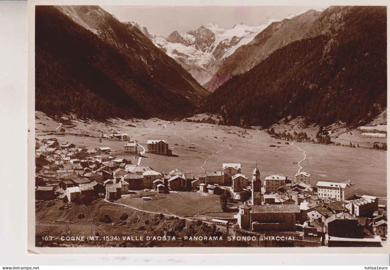 COGNE  AOSTA  PANORAMA SFONDO  GHIACCIAI  VG  1934 FOTOGRAFICA - Aosta