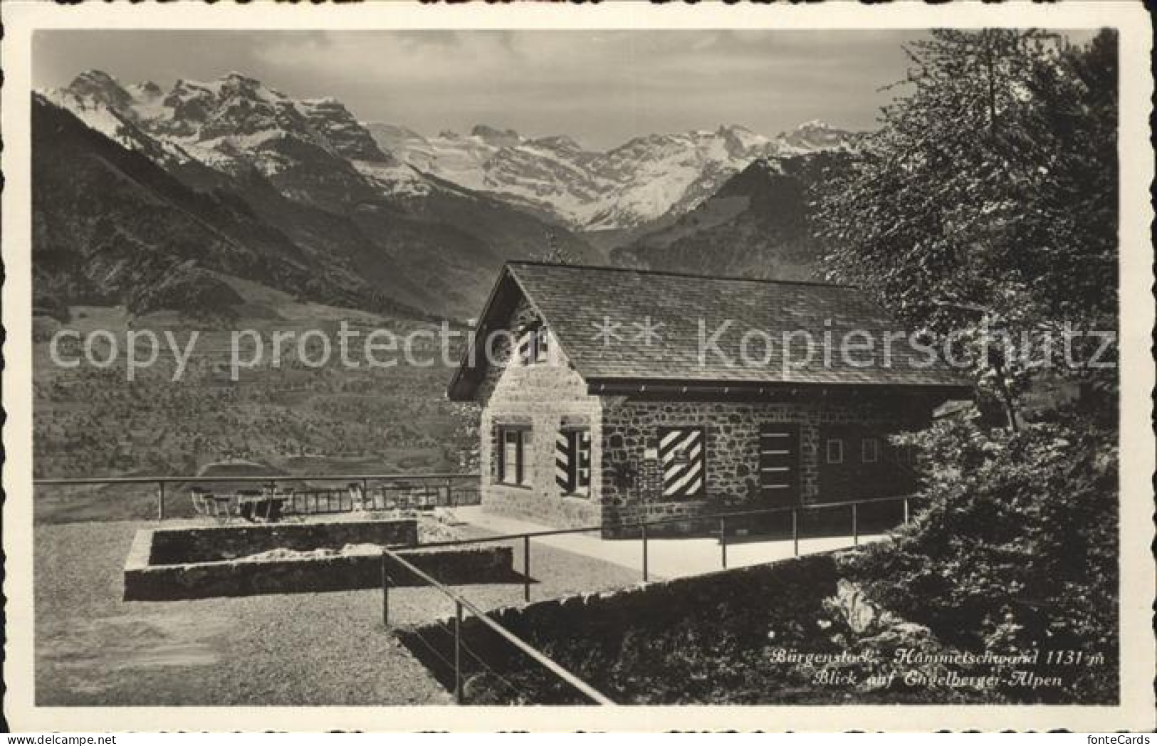 11853212 Buergenstock Hammetschwand Mit Engelberger Alpen Buergenstock - Other & Unclassified