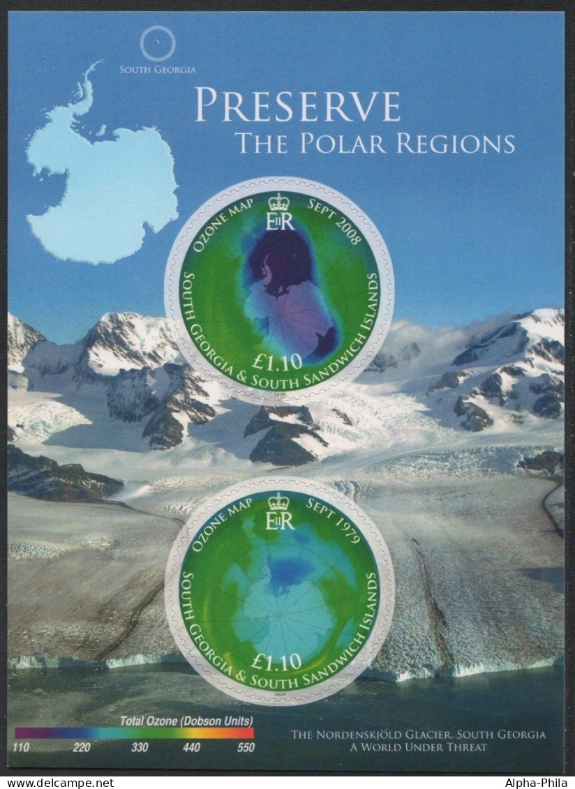 Süd-Georgien 2009 - Mi-Nr. Block 19 ** - MNH - Schutz Der Polargebiete - Georgias Del Sur (Islas)