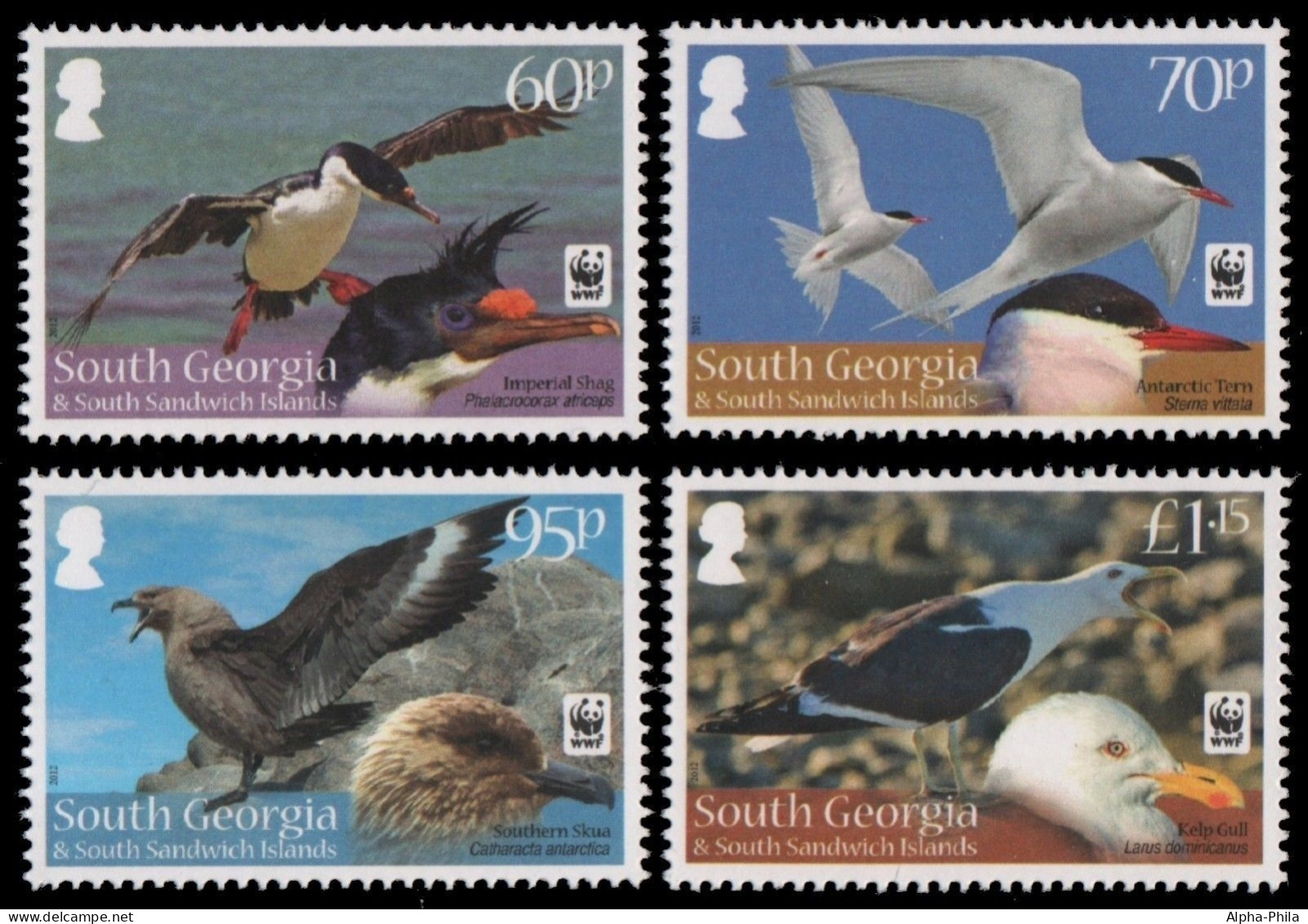 Süd-Georgien 2012 - Mi-Nr. 556-559 ** - MNH - Vögel / Birds - Georgias Del Sur (Islas)