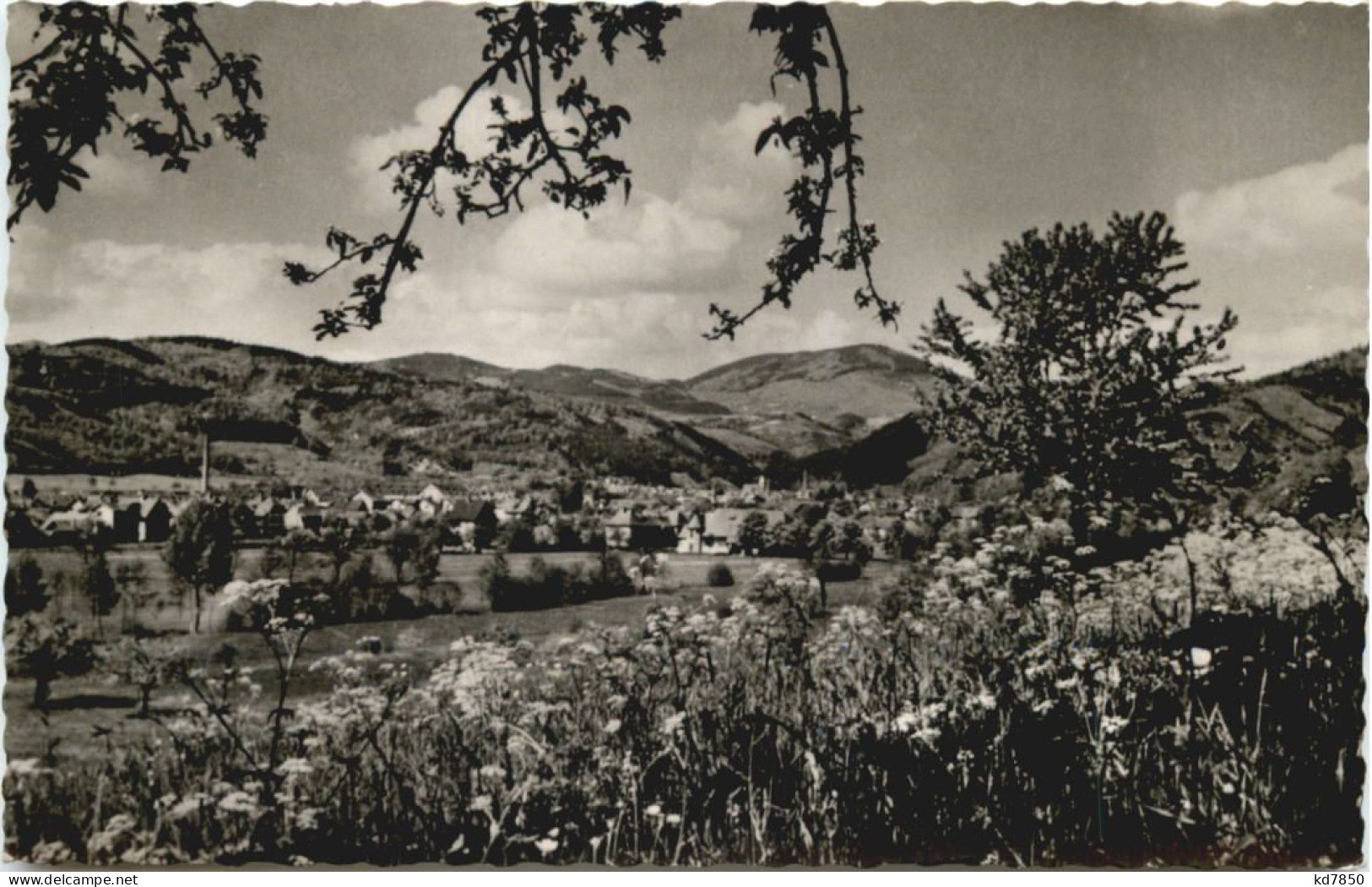 Schopfheim Im Wiesental - Fahrnau - Schopfheim