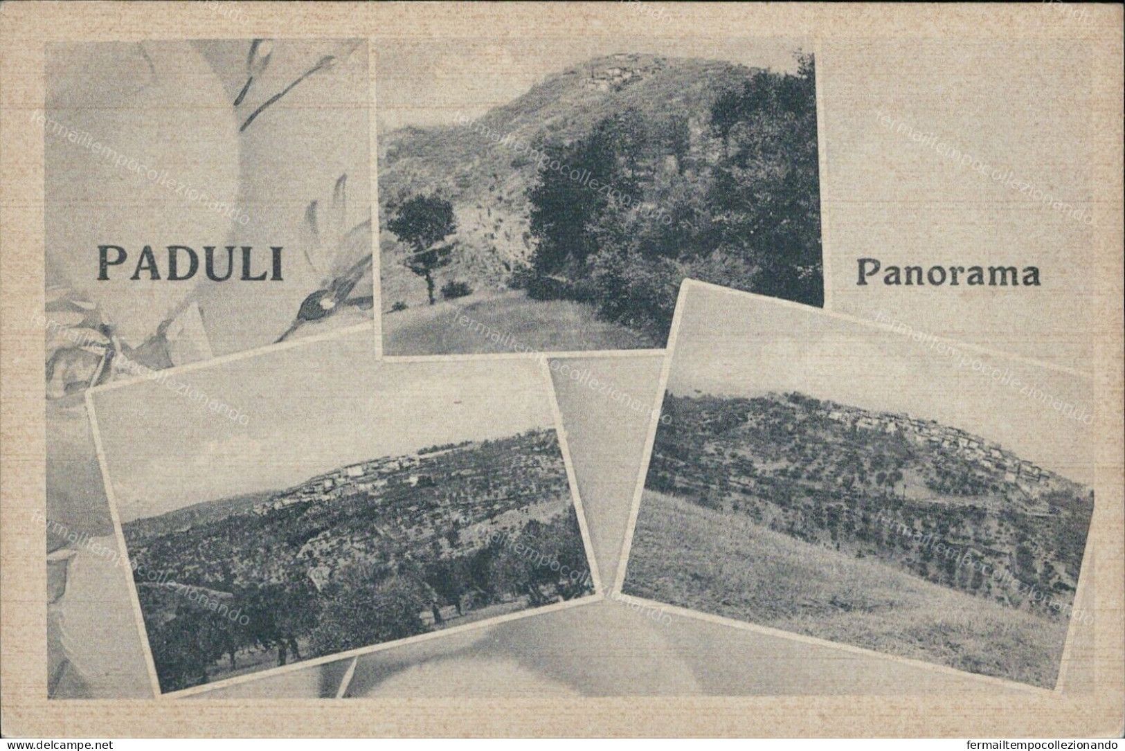 Cr24 Cartolina  Paduli Panorama Provincia   Benevento Campania - Benevento