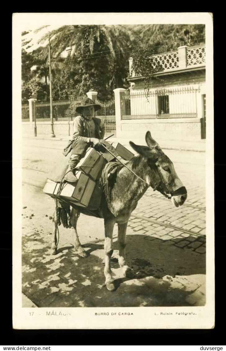 Espana Andalucia Malaga Burro De Carga  , Ane , Donkey ( Format 9cm X 14cm ) - Málaga