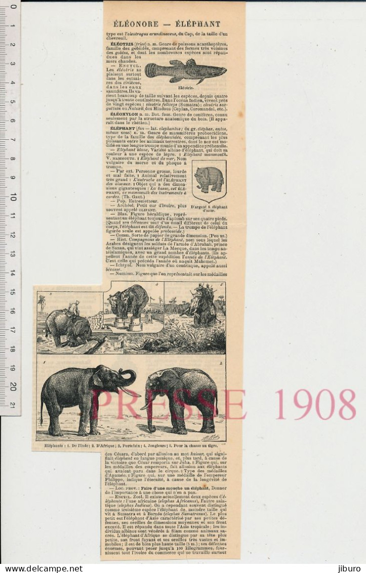 3vues 1908 Eléphants  Animal éléphant Pour Chasse Au Tigre Ordre De L'éléphant Danemark + Siam Ordre De L'éléphant Blanc - Other & Unclassified