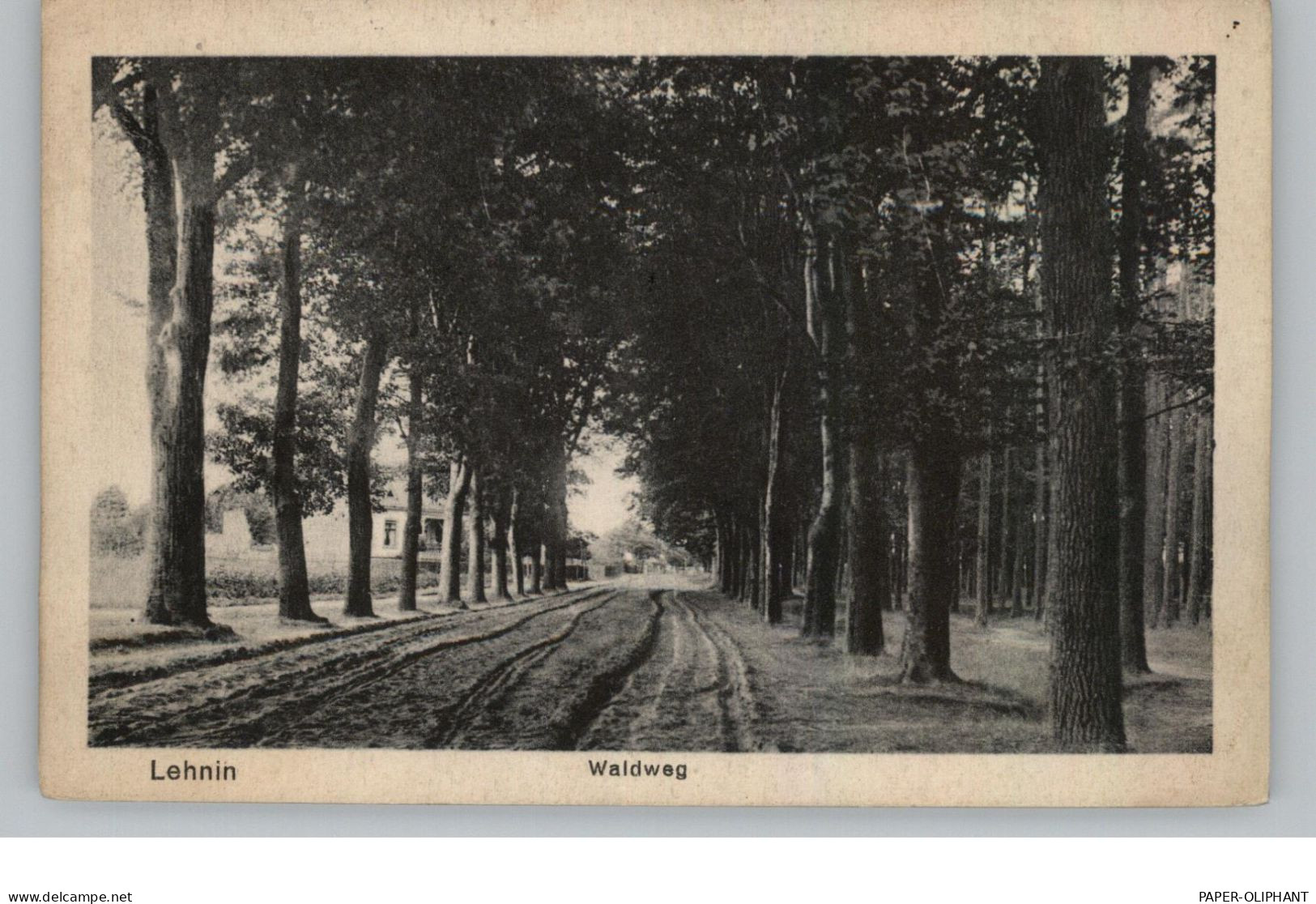 0-1804 LEHNIN, Waldweg, 1922 - Lehnin