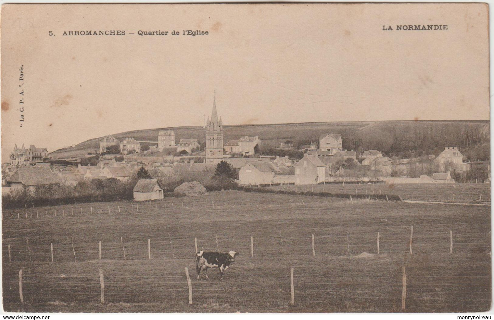 DEF : Calvados :  ARROMANCHES  Les  Bains : Vue Quartier  D El  église  , Vache - Arromanches