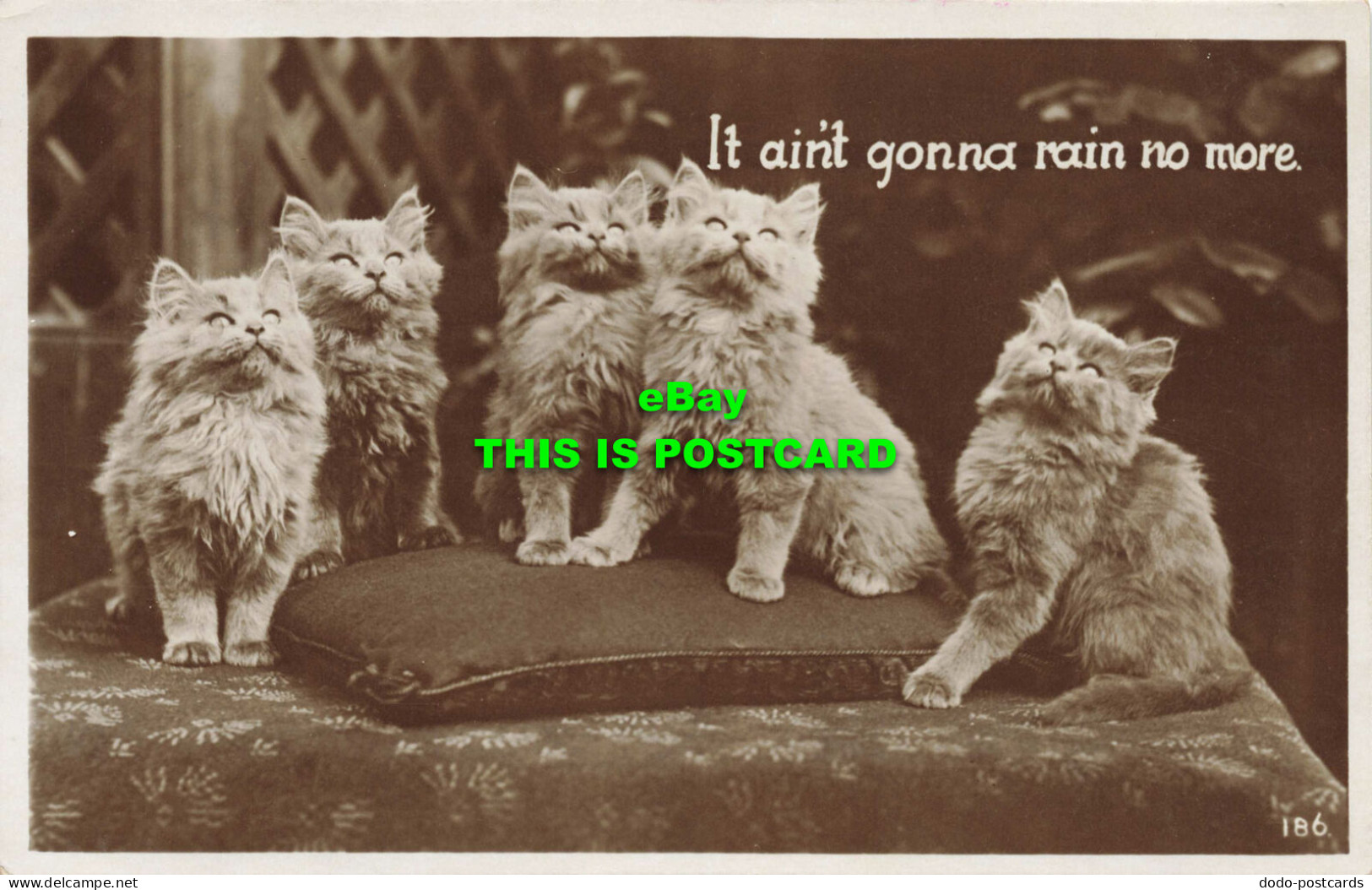 R589307 It Aint Gonna Rain No More. 186. Cats. RP. 1933 - Wereld