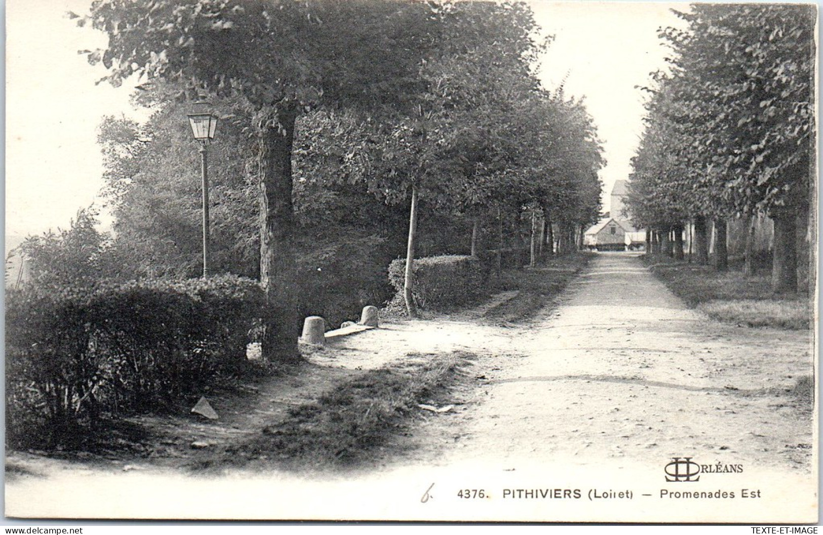 45 PITHIVIERS - Echappee Sur La Promenade Est -  - Pithiviers